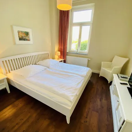 Seevogel/kormoran * Rostock