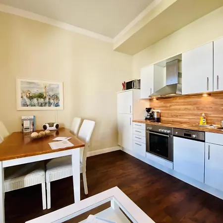 Seevogel/kormoran Rostock